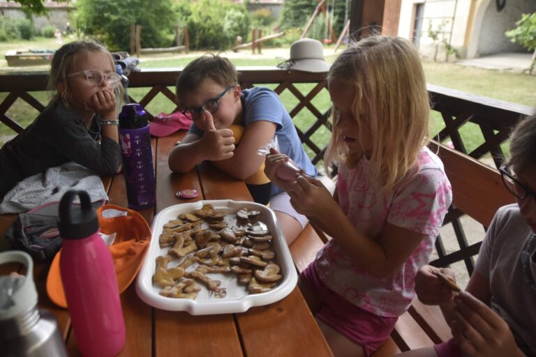 zdobení perníčků